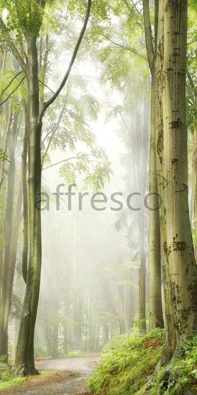Фрески, Каталог Фотоискусство, арт. ID10907. Фактура: Beze