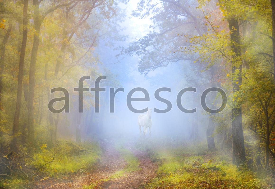 Фрески, Каталог Фотоискусство, арт. ID10909. Фактура: Beze