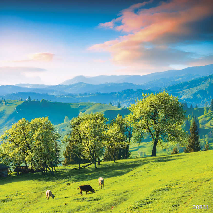 Изображение #30831 Луг в горах - ECO Фреска «Бархат Золото» FX-G