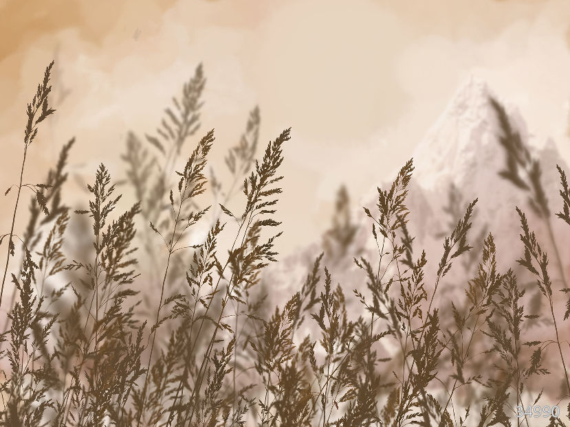 Изображение #34990 Мгновение - ECO Фреска «Бархат Золото» FX-G