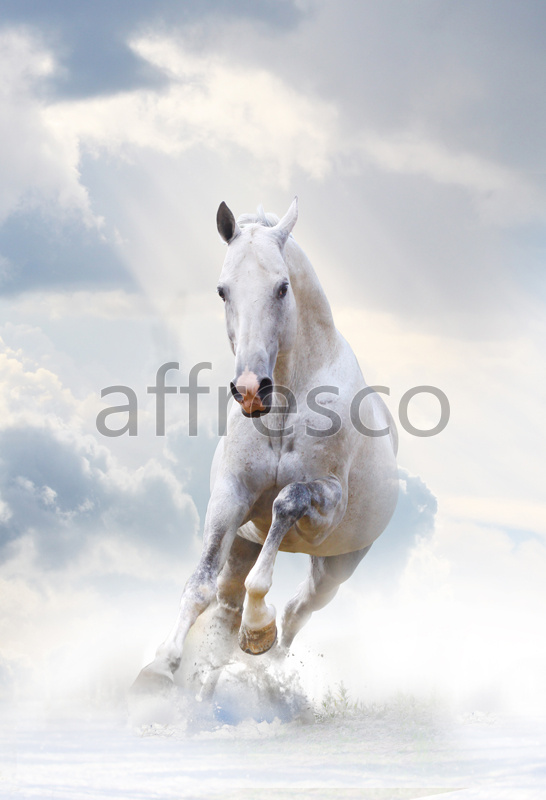 Фрески, Каталог Сюжеты, арт. ID10769. Фактура: Beze