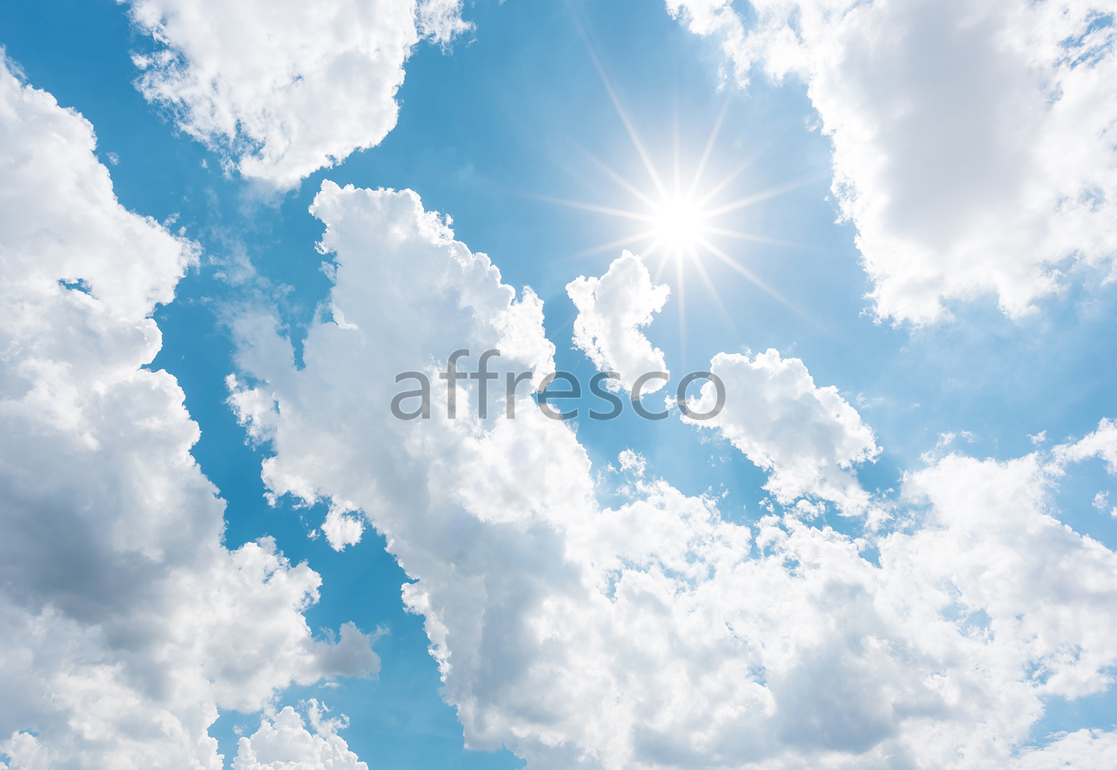 Фрески, Каталог Сюжеты, арт. ID136535. Фактура: Beze