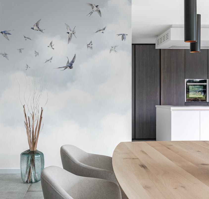 Spring Swallows AM11 001