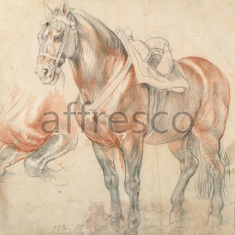 Фрески, Каталог Сюжеты, арт. ID136560. Фактура: Beze