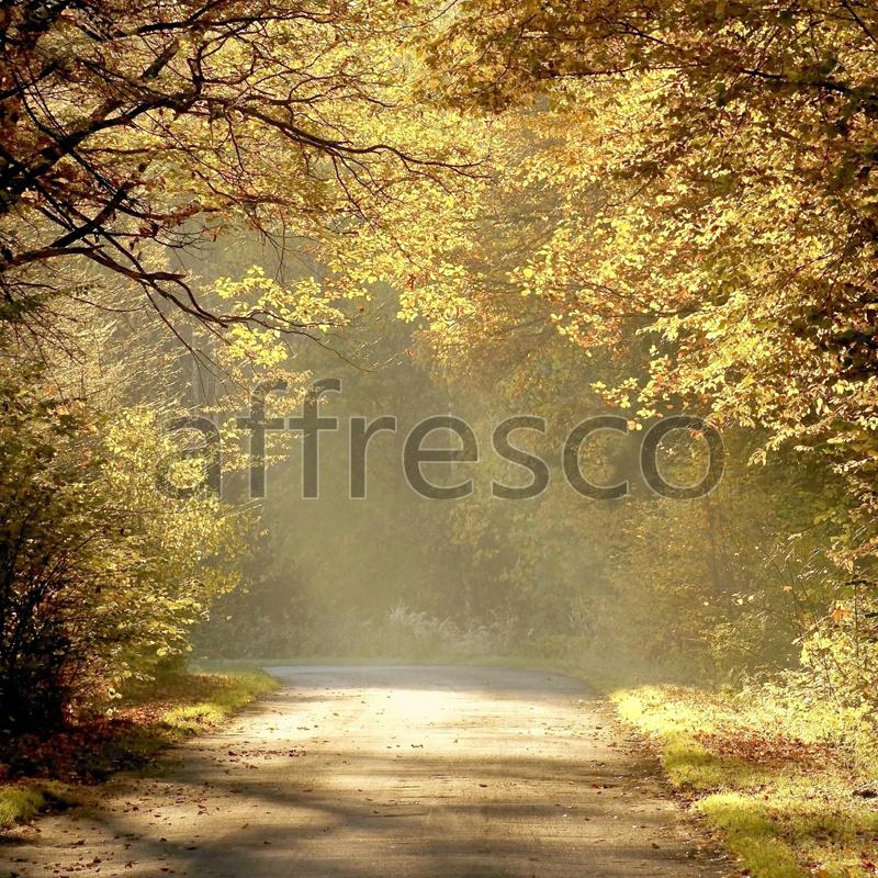 Фрески, Каталог Фотоискусство, арт. ID12478. Фактура: Beze