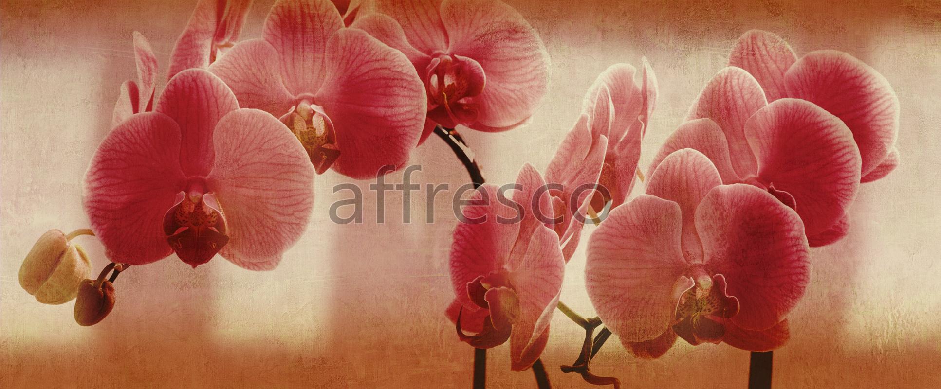 Цветы на ветке орхидеи ,  арт. ID135671. Фактура: Beze