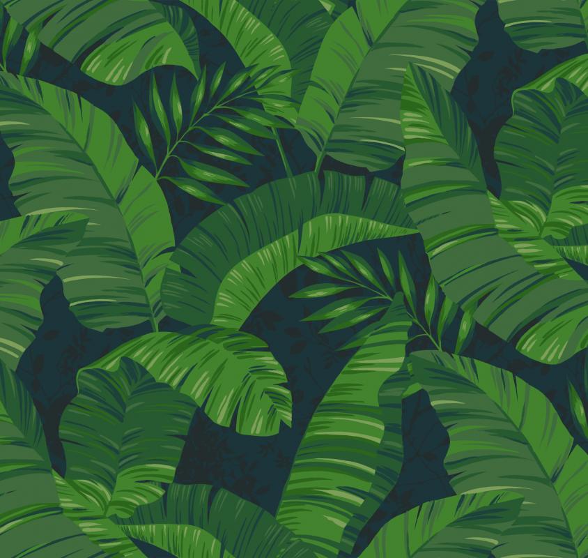 Tropics LM9 005