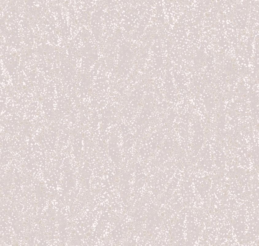 Moon PM7 001