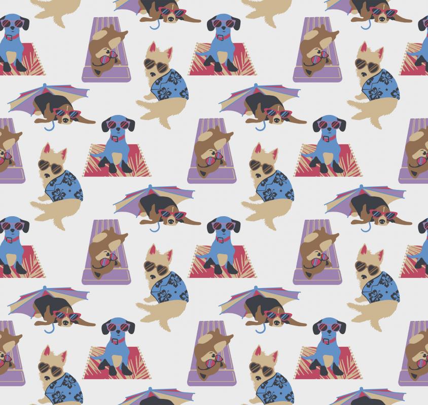 Toy Dogs LM6 001